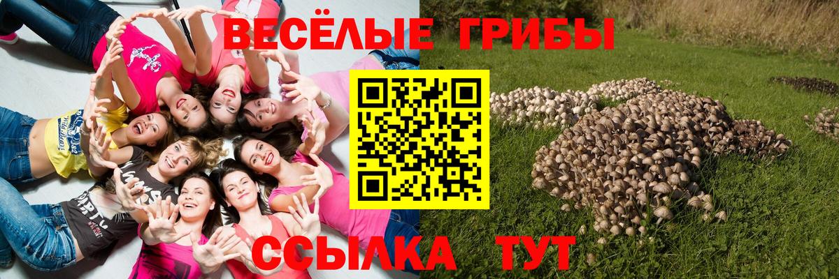 Галлюциногенные грибы Magic Shrooms  Вход с VPN  Галлюциногенные грибы GOLDEN TEACHER  Дербент 