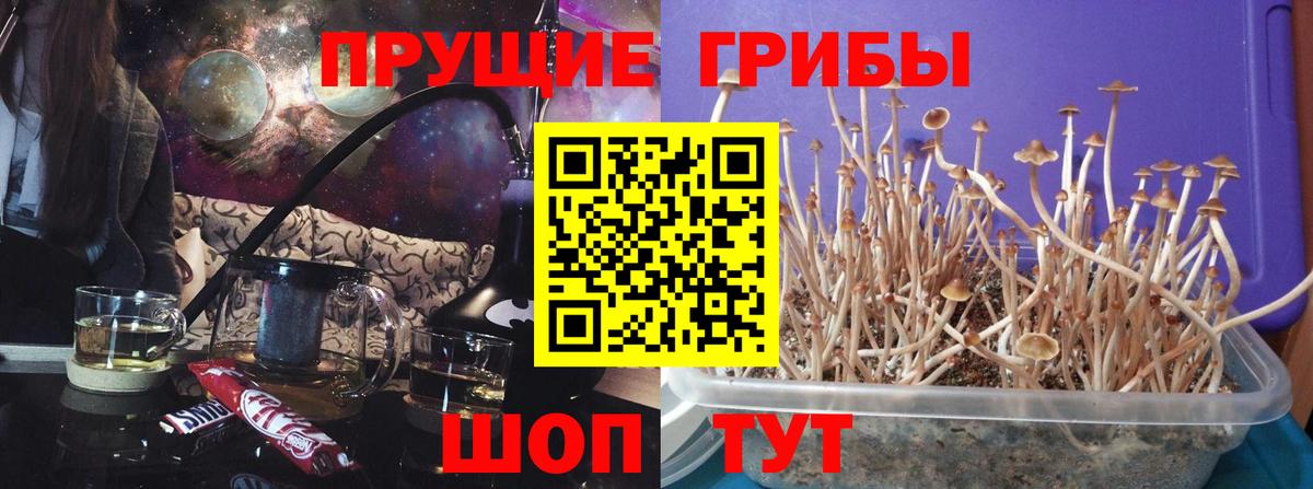 Псилоцибиновые грибы Magic Shrooms Дербент